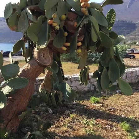 Itilo ヴィラ Néon Oítilon