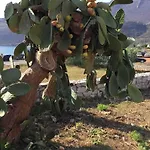Itilo Villa Néon Oítilon