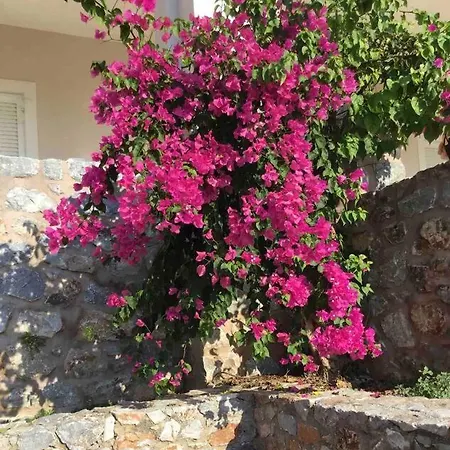 Itilo Villa *