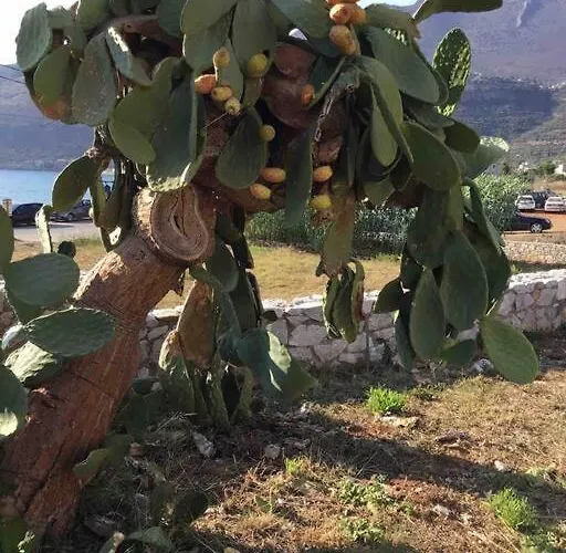 Itilo Villa Néon Oítilon